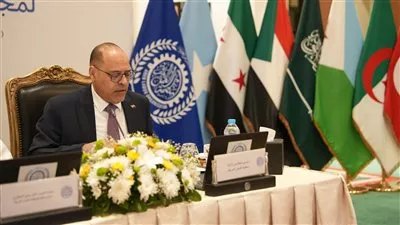 انتخاب مصر رئيساً لمجلس إدارة منظمة العمل العربية 