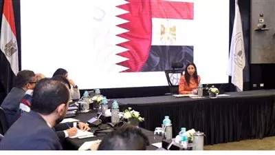 مصر تعقد الاجتماع الأول للجنة متابعة الاستثمارات القطرية