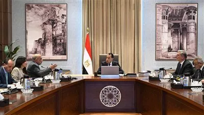 الحكومة تعلن إنشاء 15 محطة لنقل الكهرباء خلال 2024-2025