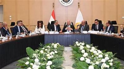 شركات السيراميك والبورسلين تطالب بجدولة ديونها لدى وزارتي «البترول» و«الكهرباء»