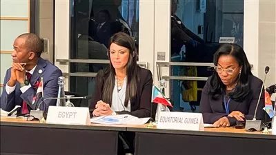 «المشاط»: 155 مليار دولار سنويًا قيمة فجوات البنية التحتية فى أفريقيا