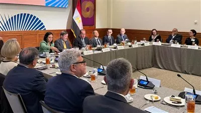 وزير المالية: 170 مليار جنيه فائض أولي خلال الربع الأول من 2025-2026