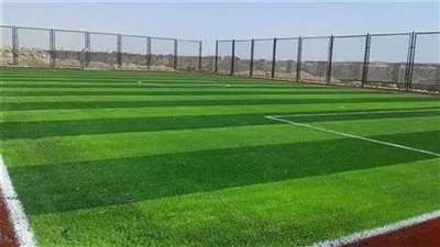 «الشباب والرياضة» توافق على إشهار مركزي شباب في المنيا وسوهاج