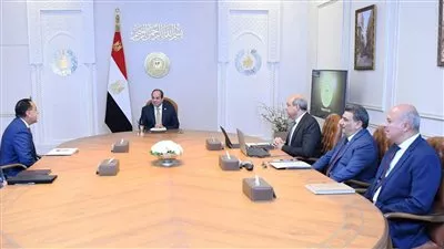 السيسي يوجه بإنشاء مناطق استثمارية متكاملة حول المطارات المصرية
