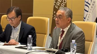 هيئة الاستثمار: المناطق الحرة تساهم بـ 22% من الصادرات السلعية المصرية