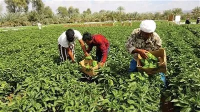 تعديل النظام الداخلي لجمعيتين زراعيتين في محافظة الدقهلية