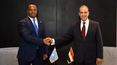وزير الخارجية يبحث مع نظيره الصومالي تعزيز الشراكة الاستراتيجية بين البلدين