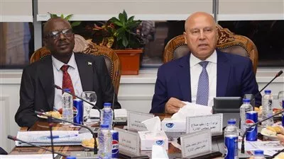 مصر والسودان تنفذان خطة لرفع كفاءة 18 وحدة نهرية بوادي النيل 