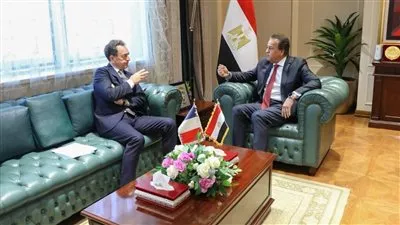 مصر وفرنسا تبحثان خطة إعادة إعمار القطاع الصحي في غزة