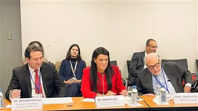 «المشاط»: ضرورة توجه منظومة التمويل العالمية لدعم إستثمارات القطاع الخاص