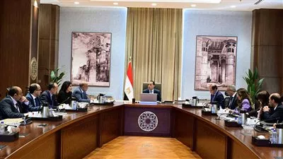 وزير الكهرباء: 9166 ميجاوات إجمالي قدرات الطاقة المتجددة في مصر