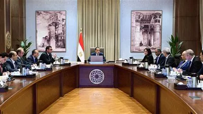 الحكومة تبحث مع «أكوا باور» توطين صناعة مكونات محطات تحلية مياه البحر