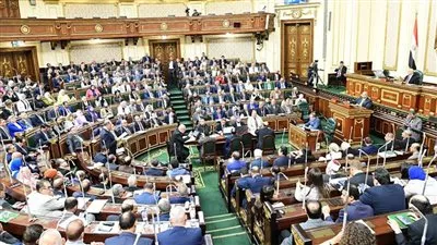 إلغاء نتائج 19 دائرة فى 7 محافظات في انتخابات مجلس النواب