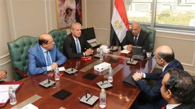 «الكهرباء» تؤسس مجمع صناعي متكامل لإستخلاص العناصر الأرضية و المعادن النادرة