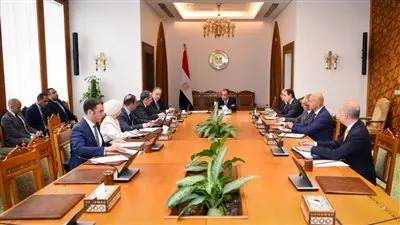 وزير الخارجية يتابع استعدادات افتتاح المتحف المصرى الكبير 