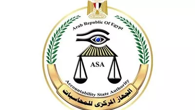 مصر تستعد لتسلم رئاسة المنظمة الدولية للرقابة المالية والمحاسبة «الإنتوساي»