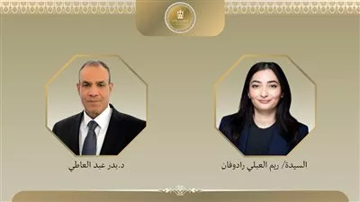 وزير الخارجية يبحث تعزيز الشراكة مع ألمانيا بمجالات الطاقة والهجرة المنظمة