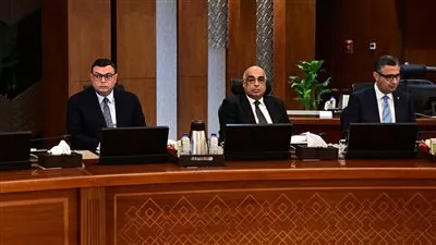 الحكومة تقرر تخصيص 3 قطع أراضٍ لإقامة مناطق لوجستية في سيناء