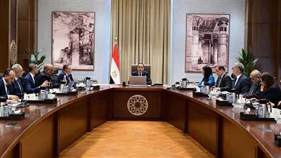 رئيس الوزراء يتابع مستجدات ربط مشروعات الطاقة المُتجددة على شبكة الكهرباء