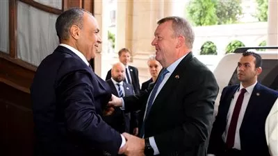 وزير الخارجية يبحث مع نظيره الدنماركي التعاون بمجال الطاقة المتجددة 