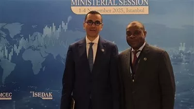 مصر تبحث ترتيبات استضافة إجتماع منظمة الدول الثماني الاسلامية النامية «D8»