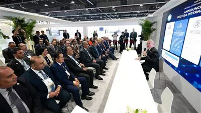 مصر تطرح مزايدة عالمية للبحث والاستكشاف عن البترول والغاز بالبحر الأحمر