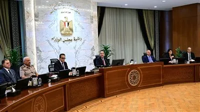 مجلس الوزراء يوافق على البحث عن البترول بمنطقتي رأس بدران وخليج الزيت