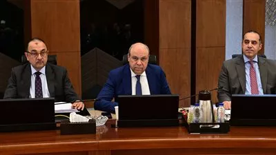 مصر تقرر مد إعفاء شركات الطيران من مقابل «الجعل» حتى نهاية 2026