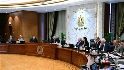 الحكومة تقرر طرح رخصتين لإقامة مشروعات لإنتاج الأسمنت