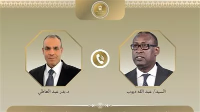 وزير الخارجية يطالب بإطلاق سراح المصريين الثلاثة المختطفين فى مالى 