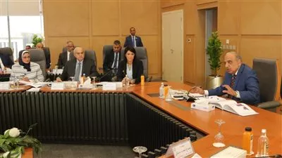 «المصرية لنقل الكهرباء» تخطط لضخ 45 مليار جنيه استثمارات خلال 2025-2026