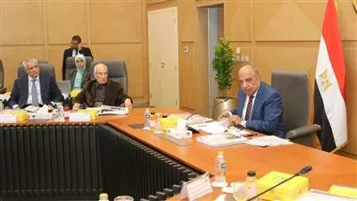 «القابضة لكهرباء مصر» تضخ 17.8 مليار جنيه استثمارات خلال 2025-2026