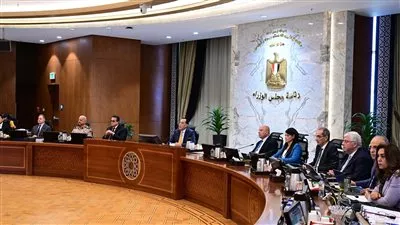 الحكومة تقرر إعادة تخصيص قطعة أرض لإقامة مشروعات تنموية بالقاهرة