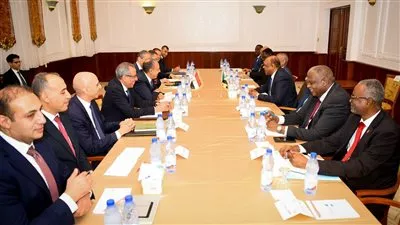 مشاورات مصرية - سودانية لبحث جهود وقف دائم وشامل لإطلاق النار 