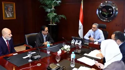 «ديستني إنرجي سنغافورة» تستثمر 210 ملايين دولار لإنتاج الأمونيا الخضراء في مصر