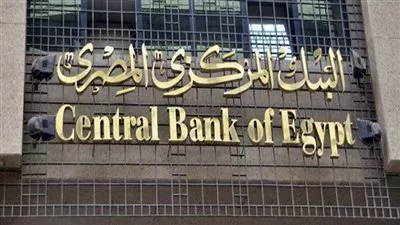ارتفاع تحويلات المصريين العاملين بالخارج إلى 26 مليار دولار في 10 أشهر