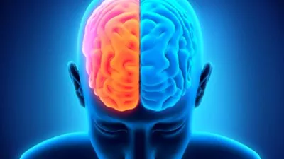 دراسة تكشف أسباب تحول أطفال إلى الإجرام عند البلوغ