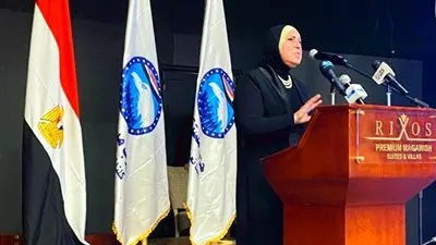 نيفين جامع: تطوير قطاع الصناعة على رأس أولويات القيادة السياسية