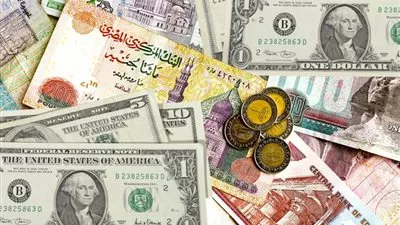أسعار العملات الأجنبية والعربية في مصر اليوم الخميس 22 ديسمبر 2016