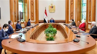 السيسي يوجه بتعزيز منظومة دعم العاملين فى مجال الفن