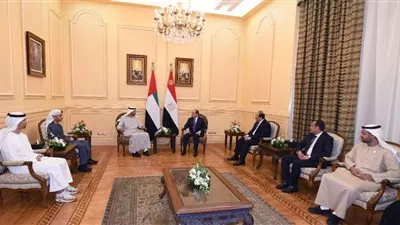 السيسي يبحث مع محمد بن زايد آفاق التعاون المشترك بين مصر والإمارات