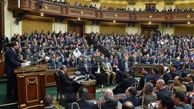 مجلس النواب يطالب بعدم تسييس ملف حقوق الإنسان