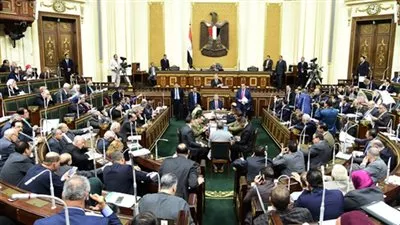 البرلمان يوافق على منح الجنسية المصرية للأجانب بوديعة 7 ملايين جنيه