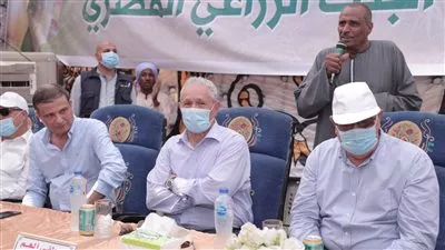 البنك الزراعي يمول تجربة زراعة القصب بالشتلات والري الحديث في الصعيد