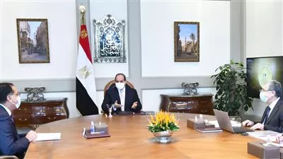 السيسي يوجه بتأسيس البنية الكهربائية لمشروع «الدلتا الجديدة»