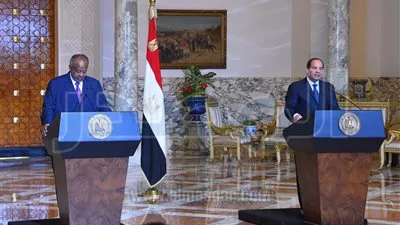 رئيس جيبوتي: نحرص على تعزيز العلاقات مع مصر لمواجهة التحديات