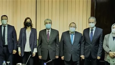مباحثات مصرية قبرصية لمتابعة تنفيذ مشروع الربط الكهربائي بين البلدين