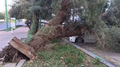 بالفيديو..مصرع 3 اشخاص فى اقوى عاصفة تهب على المانيا