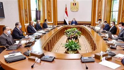 السيسى يوجه باستمرار جاهزية الدولة للتعامل مع أية مراحل مستقبلية من كورونا