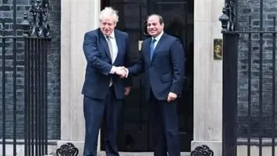«السيسي» يبحث هاتفيًا مع رئيس وزراء بريطانيا تطورات الأوضاع على الساحة الأوكرانية